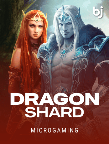 Dragon Shard icon